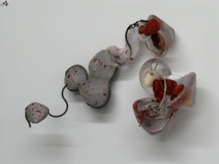 Nancy Cohen