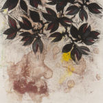 Eileen_Ferara_SeedSpill2_blockprint+inkwash+pencil_16x20in