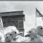 Washington Square Ducks