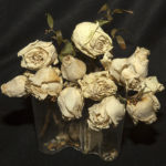 Dead Roses for A Dying Planet_Photograpg-13Hx13W